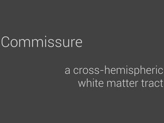 Commissure
       a cross-hemispheric
          white matter tract
 