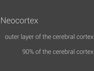 Neocortex
 outer layer of the cerebral cortex

       90% of the cerebral cortex
 