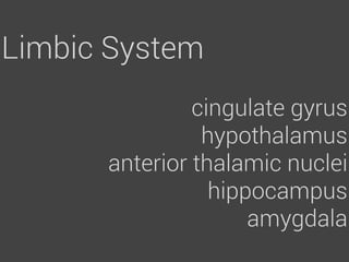 Limbic System
               cingulate gyrus
                hypothalamus
      anterior thalamic nuclei
                 hippocampus
                     amygdala
 