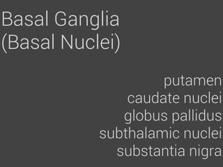 Basal Ganglia
(Basal Nuclei)
                    putamen
               caudate nuclei
              globus pallidus
           subthalamic nuclei
             substantia nigra
 