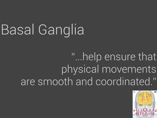Basal Ganglia
             “...help ensure that
           physical movements
   are smooth and coordinated.”
 