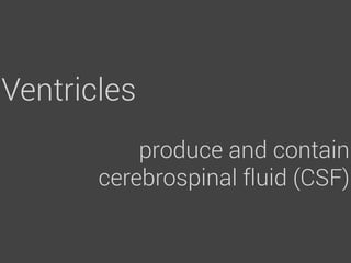 Ventricles
           produce and contain
       cerebrospinal fluid (CSF)
 