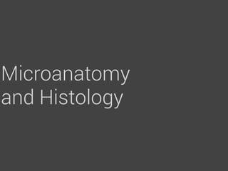 Microanatomy
and Histology
 