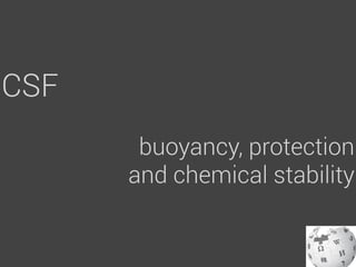 CSF
       buoyancy, protection
      and chemical stability
 