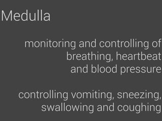 Medulla
   monitoring and controlling of
           breathing, heartbeat
            and blood pressure

  controlling vomiting, sneezing,
      swallowing and coughing
 