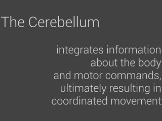 The Cerebellum
        integrates information
               about the body
       and motor commands,
         ultimately resulting in
       coordinated movement
 
