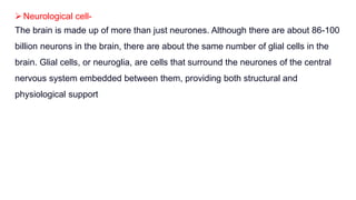 Neurological cell-
The brain is made up of more than just neurones. Although there are about 86-100
billion neurons in the brain, there are about the same number of glial cells in the
brain. Glial cells, or neuroglia, are cells that surround the neurones of the central
nervous system embedded between them, providing both structural and
physiological support
 
