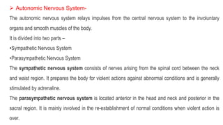  Autonomic Nervous System-
The autonomic nervous system relays impulses from the central nervous system to the involuntary
organs and smooth muscles of the body.
It is divided into two parts –
•Sympathetic Nervous System
•Parasympathetic Nervous System
The sympathetic nervous system consists of nerves arising from the spinal cord between the neck
and waist region. It prepares the body for violent actions against abnormal conditions and is generally
stimulated by adrenaline.
The parasympathetic nervous system is located anterior in the head and neck and posterior in the
sacral region. It is mainly involved in the re-establishment of normal conditions when violent action is
over.
 