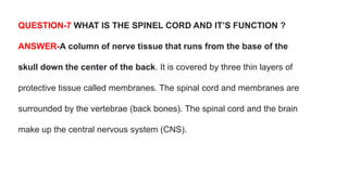 QUESTION-7 WHAT IS THE SPINEL CORD AND IT’S FUNCTION ?
ANSWER-A column of nerve tissue that runs from the base of the
skull down the center of the back. It is covered by three thin layers of
protective tissue called membranes. The spinal cord and membranes are
surrounded by the vertebrae (back bones). The spinal cord and the brain
make up the central nervous system (CNS).
 