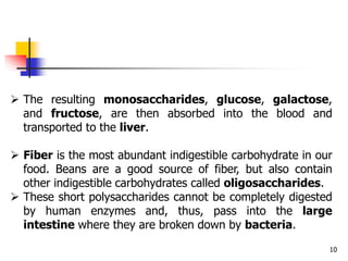 10
 The resulting monosaccharides, glucose, galactose,
and fructose, are then absorbed into the blood and
transported to the liver.
 Fiber is the most abundant indigestible carbohydrate in our
food. Beans are a good source of fiber, but also contain
other indigestible carbohydrates called oligosaccharides.
 These short polysaccharides cannot be completely digested
by human enzymes and, thus, pass into the large
intestine where they are broken down by bacteria.
 