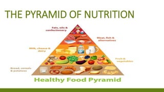 THE PYRAMID OF NUTRITION
 
