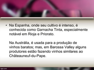 • Na Espanha, onde seu cultivo é intenso, é
conhecida como Garnacha Tinta, especialmente
notável em Rioja e Priorato.
Na Austrália, é usada para a produção de
vinhos baratos; mas, em Barossa Valley alguns
produtores estão fazendo vinhos similares ao
Châteauneuf-du-Pape.
 
