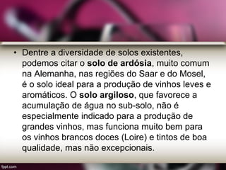 • Dentre a diversidade de solos existentes,
podemos citar o solo de ardósia, muito comum
na Alemanha, nas regiões do Saar e do Mosel,
é o solo ideal para a produção de vinhos leves e
aromáticos. O solo argiloso, que favorece a
acumulação de água no sub-solo, não é
especialmente indicado para a produção de
grandes vinhos, mas funciona muito bem para
os vinhos brancos doces (Loire) e tintos de boa
qualidade, mas não excepcionais.
 