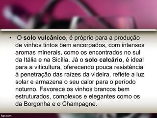 • O solo vulcânico, é próprio para a produção
de vinhos tintos bem encorpados, com intensos
aromas minerais, como os encontrados no sul
da Itália e na Sicília. Já o solo calcário, é ideal
para a viticultura, oferecendo pouca resistência
à penetração das raízes da videira, reflete a luz
solar e armazena o seu calor para o período
noturno. Favorece os vinhos brancos bem
estruturados, complexos e elegantes como os
da Borgonha e o Champagne.
 