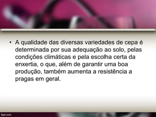 • A qualidade das diversas variedades de cepa é
determinada por sua adequação ao solo, pelas
condições climáticas e pela escolha certa da
enxertia, o que, além de garantir uma boa
produção, também aumenta a resistência a
pragas em geral.
 