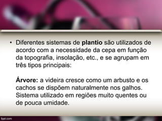 • Diferentes sistemas de plantio são utilizados de
acordo com a necessidade da cepa em função
da topografia, insolação, etc., e se agrupam em
três tipos principais:
Árvore: a videira cresce como um arbusto e os
cachos se dispõem naturalmente nos galhos.
Sistema utilizado em regiões muito quentes ou
de pouca umidade.
 