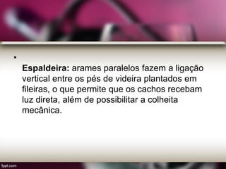 •
Espaldeira: arames paralelos fazem a ligação
vertical entre os pés de videira plantados em
fileiras, o que permite que os cachos recebam
luz direta, além de possibilitar a colheita
mecânica.
 