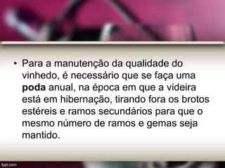 • Para a manutenção da qualidade do
vinhedo, é necessário que se faça uma
poda anual, na época em que a videira
está em hibernação, tirando fora os brotos
estéreis e ramos secundários para que o
mesmo número de ramos e gemas seja
mantido.
 