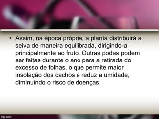• Assim, na época própria, a planta distribuirá a
seiva de maneira equilibrada, dirigindo-a
principalmente ao fruto. Outras podas podem
ser feitas durante o ano para a retirada do
excesso de folhas, o que permite maior
insolação dos cachos e reduz a umidade,
diminuindo o risco de doenças.
 