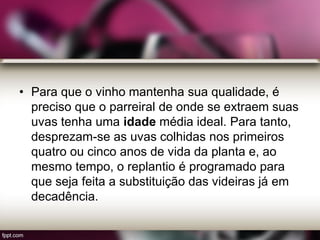 • Para que o vinho mantenha sua qualidade, é
preciso que o parreiral de onde se extraem suas
uvas tenha uma idade média ideal. Para tanto,
desprezam-se as uvas colhidas nos primeiros
quatro ou cinco anos de vida da planta e, ao
mesmo tempo, o replantio é programado para
que seja feita a substituição das videiras já em
decadência.
 