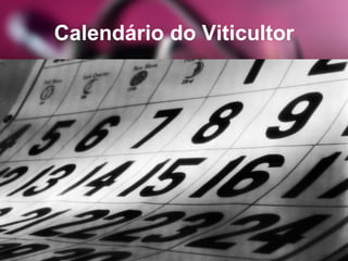 Calendário do Viticultor
 