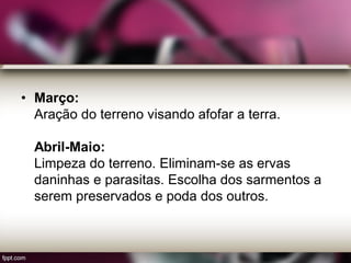 • Março:
Aração do terreno visando afofar a terra.
Abril-Maio:
Limpeza do terreno. Eliminam-se as ervas
daninhas e parasitas. Escolha dos sarmentos a
serem preservados e poda dos outros.
 