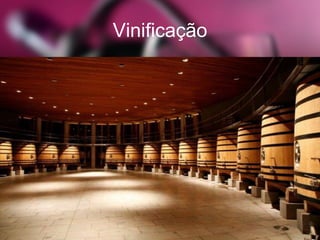 Vinificação
 