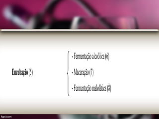 -Fermentaçãoalcoólica(6)
Encubação(5) -Maceração(7)
-Fermentaçãomalolática(8)
 