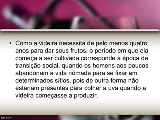 • Como a videira necessita de pelo menos quatro
anos para dar seus frutos, o período em que ela
começa a ser cultivada corresponde à época de
transição social, quando os homens aos poucos
abandonam a vida nômade para se fixar em
determinados sítios, pois de outra forma não
estariam presentes para colher a uva quando a
videira começasse a produzir.
 