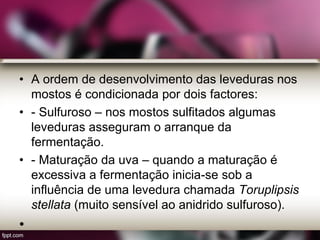 • A ordem de desenvolvimento das leveduras nos
mostos é condicionada por dois factores:
• - Sulfuroso – nos mostos sulfitados algumas
leveduras asseguram o arranque da
fermentação.
• - Maturação da uva – quando a maturação é
excessiva a fermentação inicia-se sob a
influência de uma levedura chamada Toruplipsis
stellata (muito sensível ao anidrido sulfuroso).
•
 