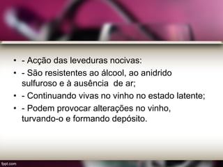 • - Acção das leveduras nocivas:
• - São resistentes ao álcool, ao anidrido
sulfuroso e à ausência de ar;
• - Continuando vivas no vinho no estado latente;
• - Podem provocar alterações no vinho,
turvando-o e formando depósito.
 
