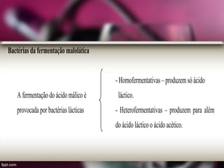 Bactérias da fermentação malolática
- Homofermentativas – produzemsó ácido
A fermentação do ácidomálico é láctico.
provocada por bactérias lácticas - Heterofermentativas – produzem para além
do ácido láctico o ácido acético.
 