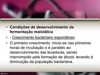 • Condições de desenvolvimento da
fermentação malolática
• - Crescimento bacteriano espontâneo
• O primeiro crescimento, inicia-se nas primeiras
horas de incubação e é paralelo ao
desenvolvimento das leveduras, sendo
interrompido pela formação de álcool, levando à
diminuição da população bacteriana.
 