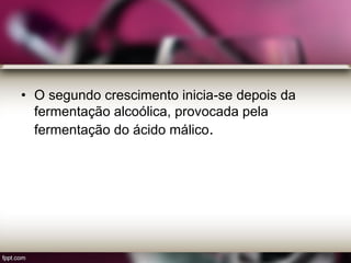 • O segundo crescimento inicia-se depois da
fermentação alcoólica, provocada pela
fermentação do ácido málico.
 