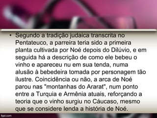 • Segundo a tradição judaica transcrita no
Pentateuco, a parreira teria sido a primeira
planta cultivada por Noé depois do Dilúvio, e em
seguida há a descrição de como ele bebeu o
vinho e apareceu nu em sua tenda, numa
alusão à bebedeira tomada por personagem tão
ilustre. Coincidência ou não, a arca de Noé
parou nas "montanhas do Ararat", num ponto
entre a Turquia e Armênia atuais, reforçando a
teoria que o vinho surgiu no Cáucaso, mesmo
que se considere lenda a história de Noé.
 