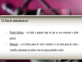 1.2.Fasesde maturaçãodauva
- Período herbáceo – vai desde o pequeno bago até que as uvas comessem a pintar
(pintor).
- Maturação – a uva branca passa de verde a amarelo e a uva preta passa de verde a
vermelho,aumentandoemambasoteoremaçúcarperdendoaacidez
 