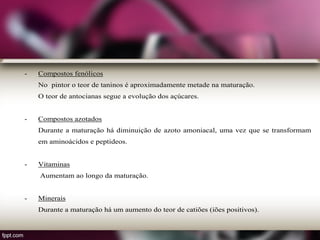 - Compostos fenólicos
No pintor o teor de taninos é aproximadamente metade na maturação.
O teor de antocianas segue a evolução dos açúcares.
- Compostos azotados
Durante a maturação há diminuição de azoto amoniacal, uma vez que se transformam
em aminoácidos e peptideos.
- Vitaminas
Aumentam ao longo da maturação.
- Minerais
Durante a maturação há um aumento do teor de catiões (iões positivos).
 