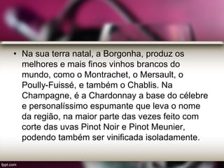 • Na sua terra natal, a Borgonha, produz os
melhores e mais finos vinhos brancos do
mundo, como o Montrachet, o Mersault, o
Poully-Fuissé, e também o Chablis. Na
Champagne, é a Chardonnay a base do célebre
e personalíssimo espumante que leva o nome
da região, na maior parte das vezes feito com
corte das uvas Pinot Noir e Pinot Meunier,
podendo também ser vinificada isoladamente.
 