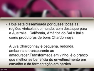 • Hoje está disseminada por quase todas as
regiões vinícolas do mundo, com destaque para
a Austrália , Califórnia, América do Sul e Itália
como produtoras de bons Chardonnays.
A uva Chardonnay é pequena, redonda,
ambarina e transparente ao
amadurecer.Transformada em vinho, é o branco
que melhor se beneficia do envelhecimento em
carvalho e da fermentação em barrica.
 