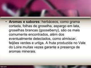 • Aromas e sabores: herbáceos, como grama
cortada, folhas de groselha, aspargo em lata,
groselhas brancas (gooseberry), são os mais
comumente encontrados, além dos
eventualmente detectados, como almíscar,
feijões verdes e urtiga. A fruta produzida no Vale
do Loire muitas vezes garante a presença de
aromas minerais.
 
