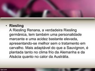 • Riesling
A Riesling Renana, a verdadeira Riesling
germânica, tem também uma personalidade
marcante e uma acidez bastante elevada,
apresentando-se melhor sem o tratamento em
carvalho. Mais adaptável do que a Sauvignon, é
plantada tanto no clima frio da Alemanha e da
Alsácia quanto no calor da Austrália.
 