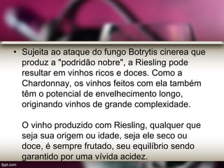• Sujeita ao ataque do fungo Botrytis cinerea que
produz a "podridão nobre", a Riesling pode
resultar em vinhos ricos e doces. Como a
Chardonnay, os vinhos feitos com ela também
têm o potencial de envelhecimento longo,
originando vinhos de grande complexidade.
O vinho produzido com Riesling, qualquer que
seja sua origem ou idade, seja ele seco ou
doce, é sempre frutado, seu equilíbrio sendo
garantido por uma vívida acidez.
 
