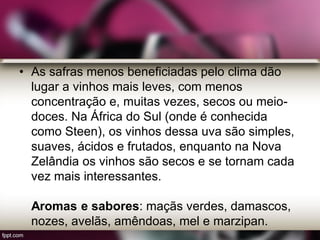 • As safras menos beneficiadas pelo clima dão
lugar a vinhos mais leves, com menos
concentração e, muitas vezes, secos ou meio-
doces. Na África do Sul (onde é conhecida
como Steen), os vinhos dessa uva são simples,
suaves, ácidos e frutados, enquanto na Nova
Zelândia os vinhos são secos e se tornam cada
vez mais interessantes.
Aromas e sabores: maçãs verdes, damascos,
nozes, avelãs, amêndoas, mel e marzipan.
 