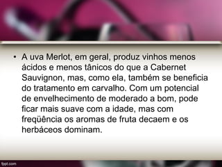 • A uva Merlot, em geral, produz vinhos menos
ácidos e menos tânicos do que a Cabernet
Sauvignon, mas, como ela, também se beneficia
do tratamento em carvalho. Com um potencial
de envelhecimento de moderado a bom, pode
ficar mais suave com a idade, mas com
freqüência os aromas de fruta decaem e os
herbáceos dominam.
 