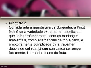 • Pinot Noir
Considerada a grande uva da Borgonha, a Pinot
Noir é uma variedade extremamente delicada,
que sofre profundamente com as mudanças
ambientais, como alternâncias de frio e calor, e
é notoriamente complicada para trabalhar
depois de colhida, já que sua casca se rompe
facilmente, liberando o suco da fruta.
 