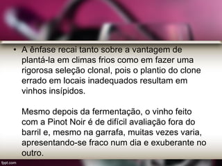 • A ênfase recai tanto sobre a vantagem de
plantá-la em climas frios como em fazer uma
rigorosa seleção clonal, pois o plantio do clone
errado em locais inadequados resultam em
vinhos insípidos.
Mesmo depois da fermentação, o vinho feito
com a Pinot Noir é de difícil avaliação fora do
barril e, mesmo na garrafa, muitas vezes varia,
apresentando-se fraco num dia e exuberante no
outro.
 