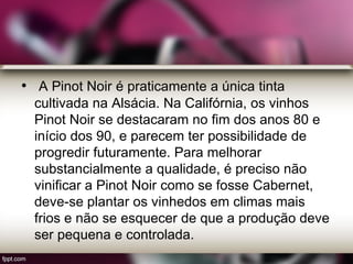 • A Pinot Noir é praticamente a única tinta
cultivada na Alsácia. Na Califórnia, os vinhos
Pinot Noir se destacaram no fim dos anos 80 e
início dos 90, e parecem ter possibilidade de
progredir futuramente. Para melhorar
substancialmente a qualidade, é preciso não
vinificar a Pinot Noir como se fosse Cabernet,
deve-se plantar os vinhedos em climas mais
frios e não se esquecer de que a produção deve
ser pequena e controlada.
 