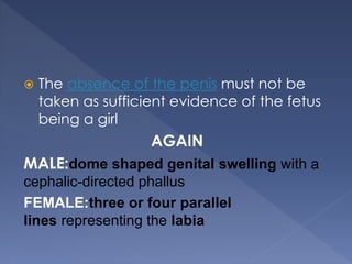  The absence of the penis must not be
taken as sufficient evidence of the fetus
being a girl
AGAIN
MALE:dome shaped genital swelling with a
cephalic-directed phallus
FEMALE:three or four parallel
lines representing the labia
 