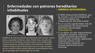 Enfermedades con patrones hereditarios
inhabituales • HERENCIA MITOCONDRIAL
• El ADN mitocondrial (ADNmt), que
es circular y con una longitud de
16,5 kb, se replica con
independencia del ADN nuclear.
• En un ovocito puede haber más de
una población de mitocondrias,
fenómeno denominado
heteroplasmia.
• Si un tejido con alto requerimiento
energético (cerebro, músculo e
hígado) presenta abundantes
mitocondrias mutantes, aparecerán
síntomas clínicos; si las
mitocondrias mutantes son
escasas, aparecerán pocos
síntomas.
EJEMPLO: El síndrome MELAS (encefalopatía mitocondrial, acidosis
láctica y episodios similares a ictus). Puede verse una gama de
síntomas en los familiares de primer grado, como oftalmoplejía
externa progresiva, pérdida auditiva, miocardiopatía y diabetes
mellitus. Aunque toda la descendencia de un a mujer portadora
de una mutación puede resultar afectada, la heteroplasmia hace
que la gravedad de la enfermedad sea variable
 