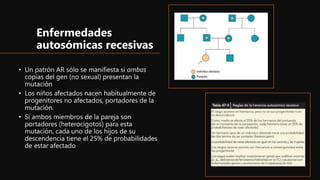 Enfermedades
autosómicas recesivas
• Un patrón AR sólo se manifiesta si ambas
copias del gen (no sexual) presentan la
mutación
• Los niños afectados nacen habitualmente de
progenitores no afectados, portadores de la
mutación.
• Si ambos miembros de la pareja son
portadores (heterocigotos) para esta
mutación, cada uno de los hijos de su
descendencia tiene el 25% de probabilidades
de estar afectado
 